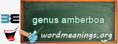 WordMeaning blackboard for genus amberboa